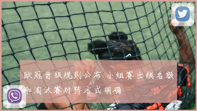 欧冠晋级规则公布 小组赛出线名额和淘汰赛对阵方式明确