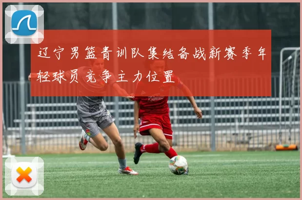 辽宁男篮青训队集结备战新赛季年轻球员竞争主力位置