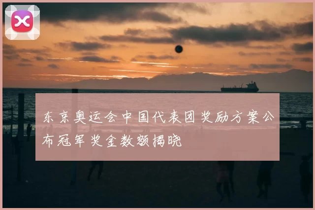 东京奥运会中国代表团奖励方案公布冠军奖金数额揭晓